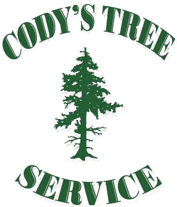 CDTS_ Logo clear ORIGINAL (1850×1850) (1) (1)